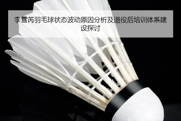 李雪芮羽毛球状态波动原因分析及退役后培训体系建设探讨（QMH）